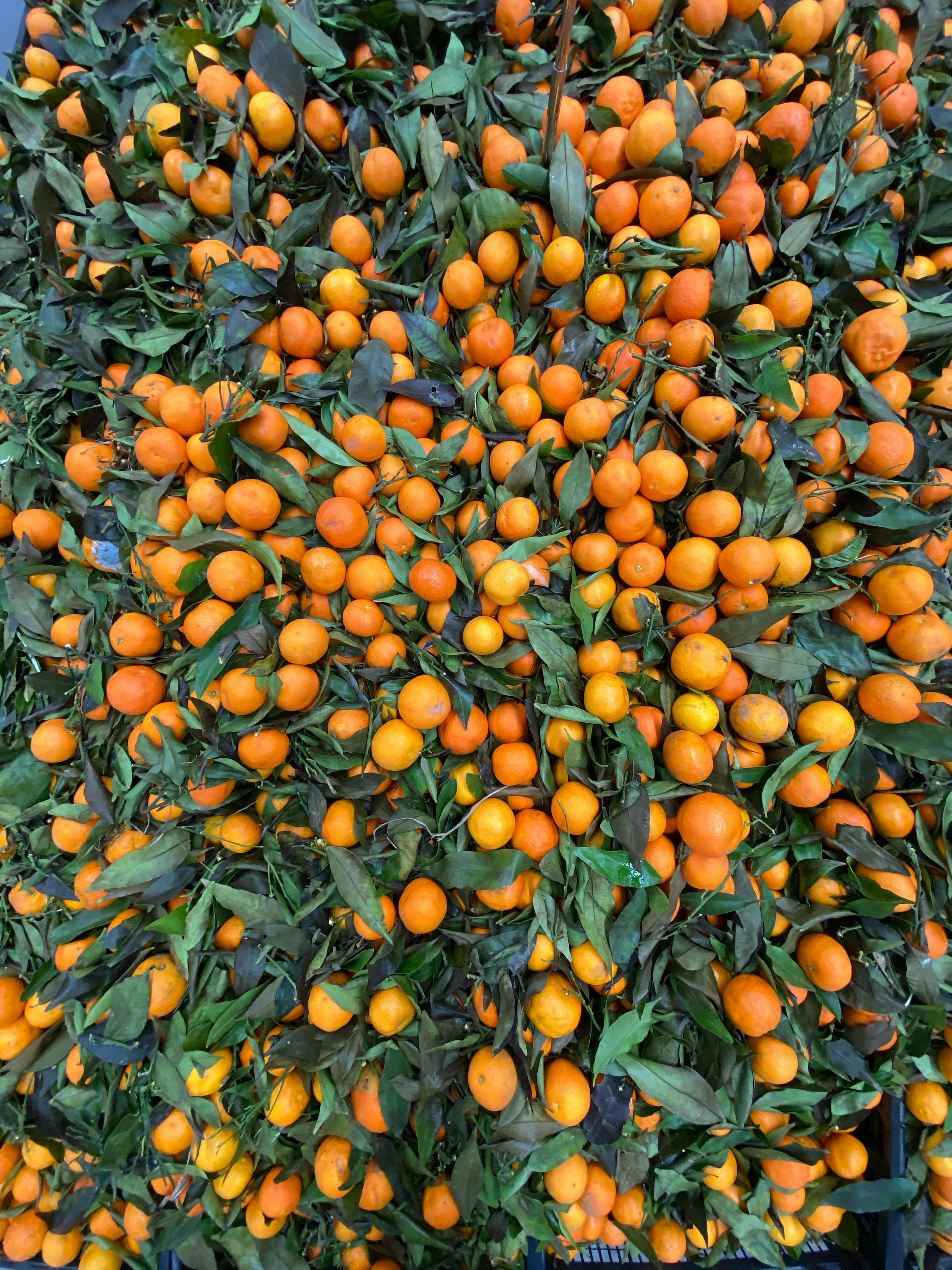 Equipo de Tienda Orgánica del Rionegro